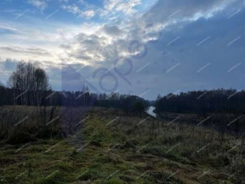 земельный участок 2 000 соток деревня Фефелиха